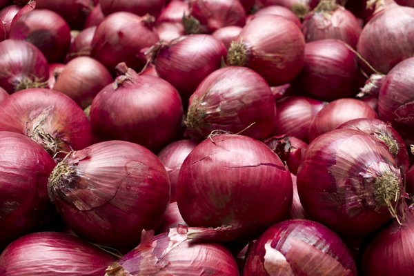 Mega onion darknets