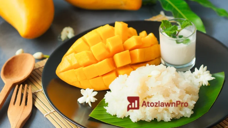 Mango Sticky Rice